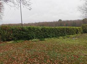 Demander ce jardinier