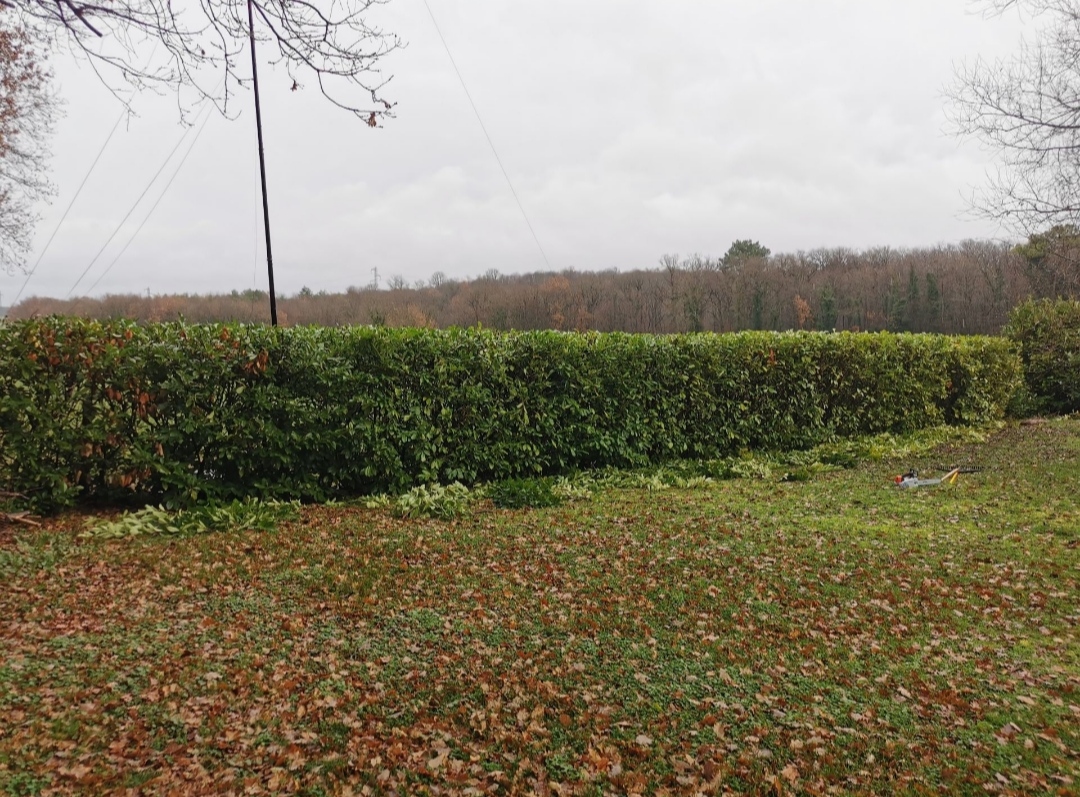 Service entretien espace vert 86 entre particuliers