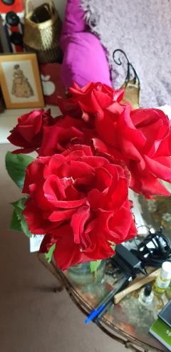 Service : entretien jardin Service : entretien jardin