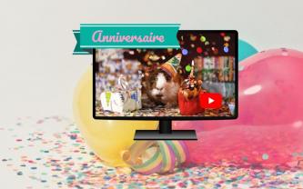 Service : videaste Service : videaste