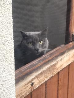 Service : chat Service : chat