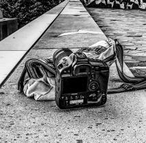 Service : photographie Service : photographie