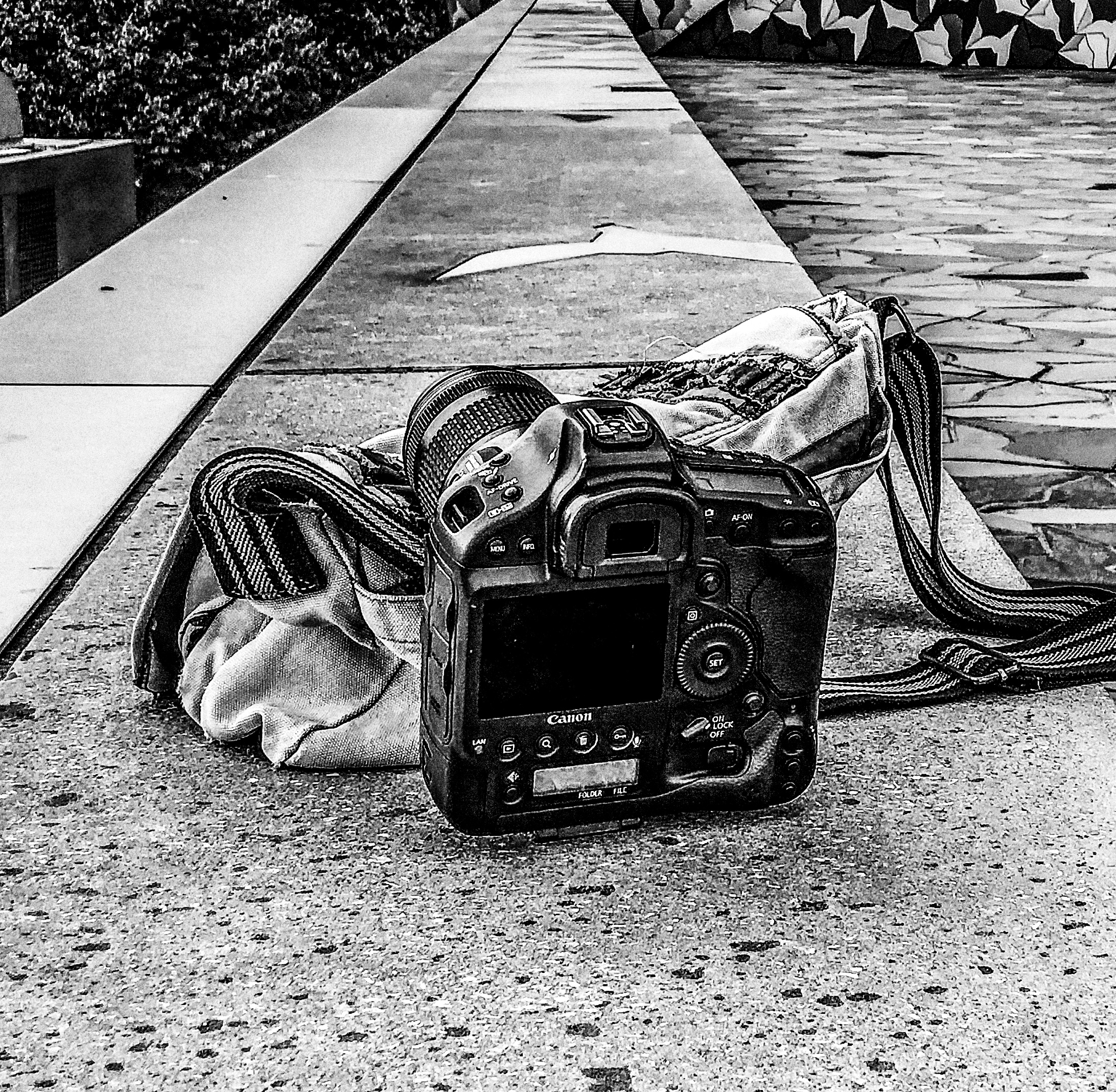 Service photographie 72 entre particuliers