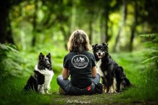 Service promeneur chien entre particuliers