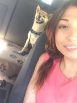 Service : garde animaux Service : garde animaux