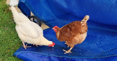 Service : cours photo