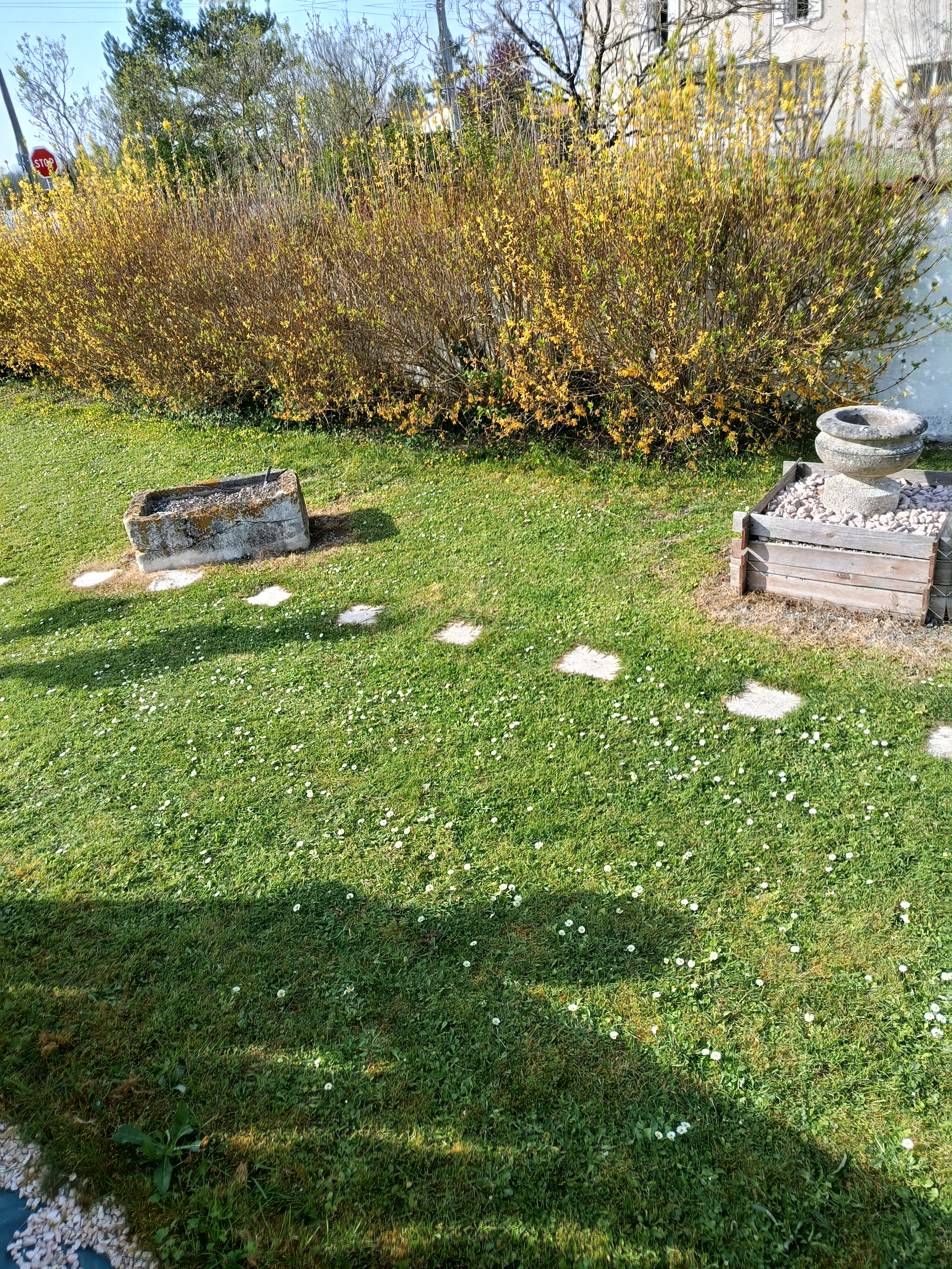 Service taille de haies 16 entre particuliers