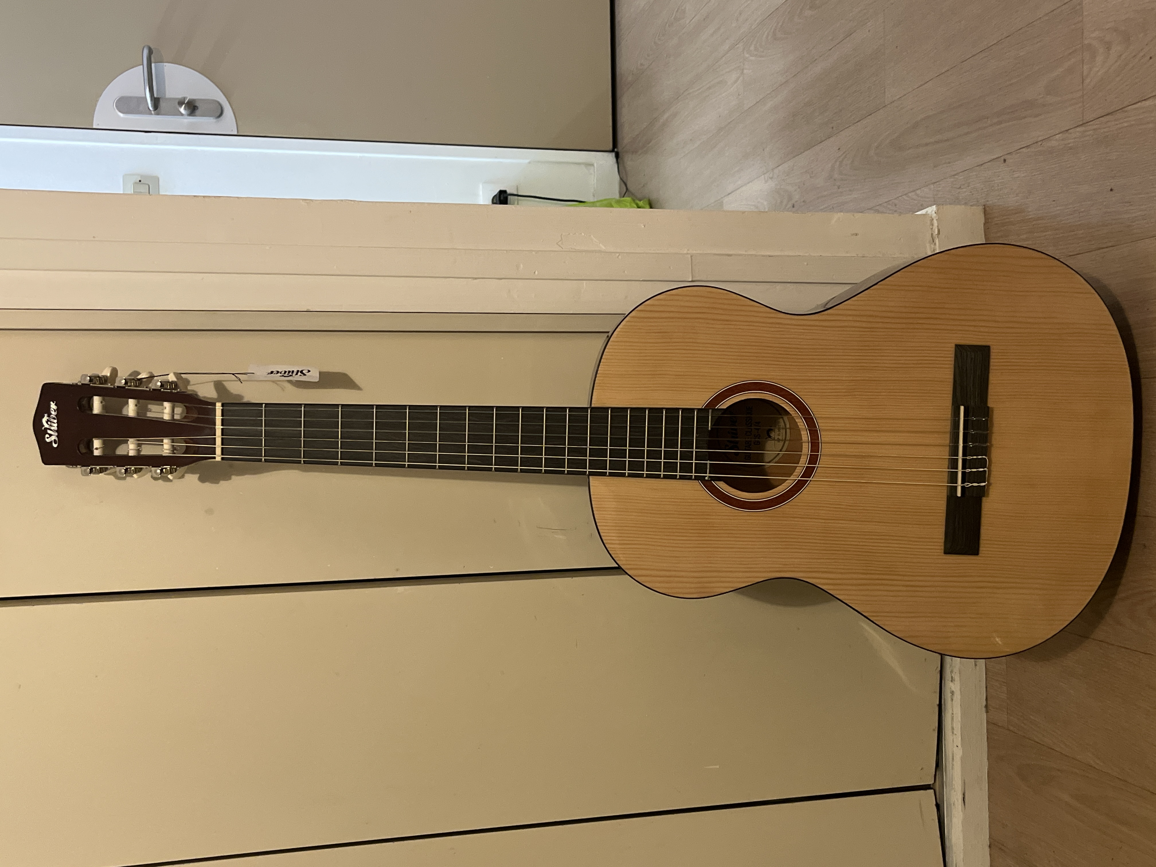 Location guitare 95 entre particuliers