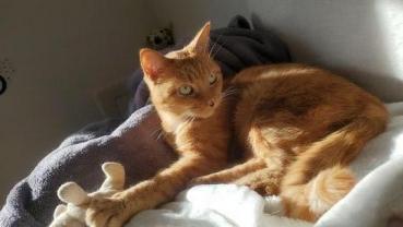 Service : chat Service : chat