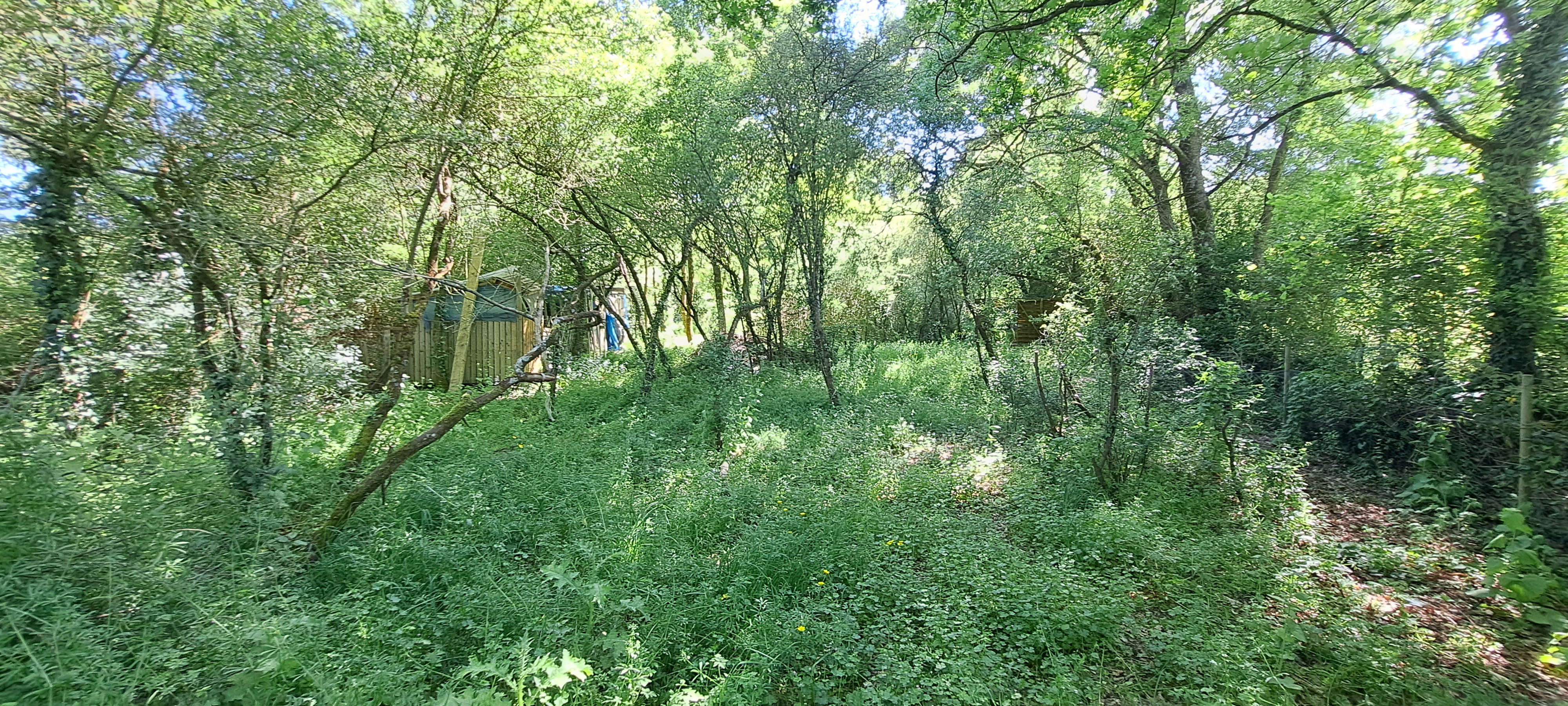 Location jardin 49 entre particuliers