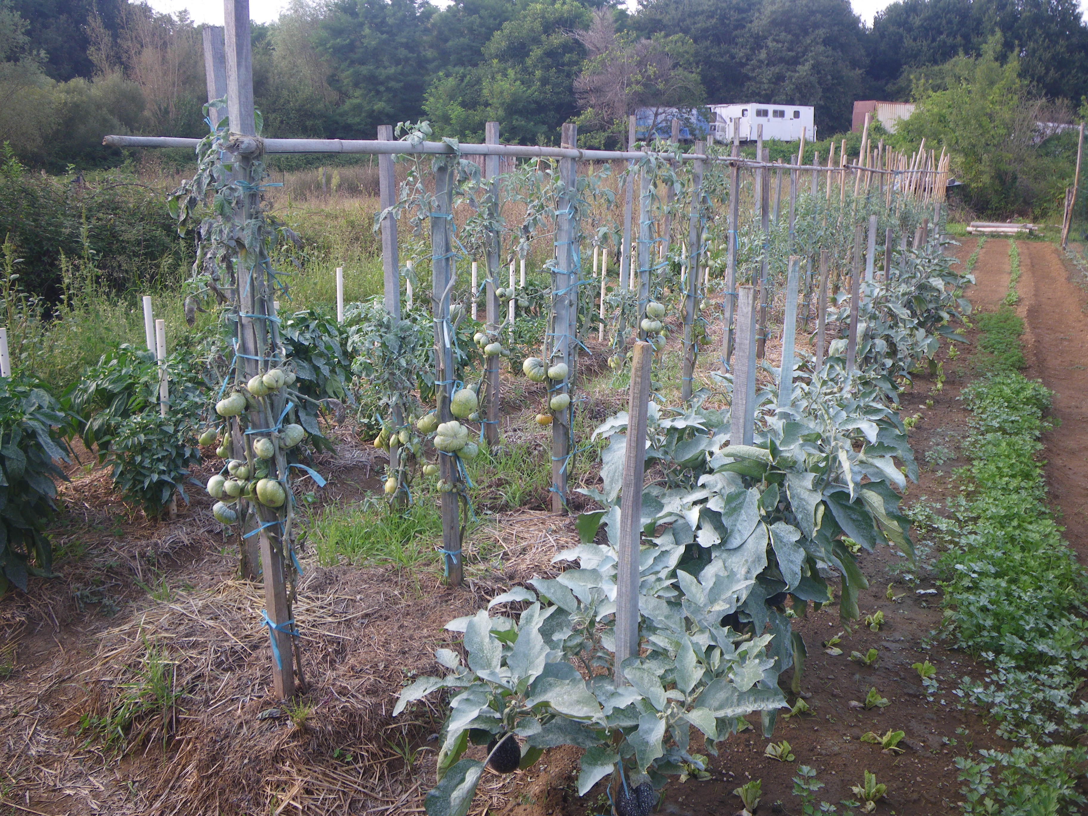 Service jardinage 33 entre particuliers
