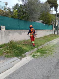 Location : debroussailleuse Location : debroussailleuse