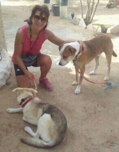 Service : promeneur chien Service : promeneur chien