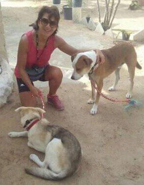 Service promeneur chien 68 entre particuliers