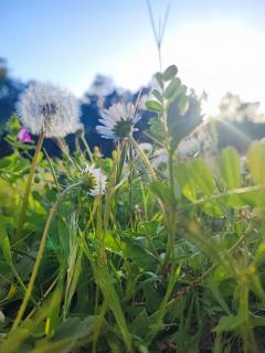 Service : service a personne Service : service a personne