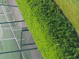 Service : debroussaillage Service : debroussaillage