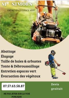 Service : entretien espace vert Service : entretien espace vert