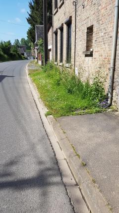 Service : entretien espace vert Service : entretien espace vert