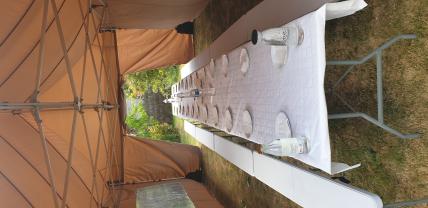 Location : tente reception Location : tente reception