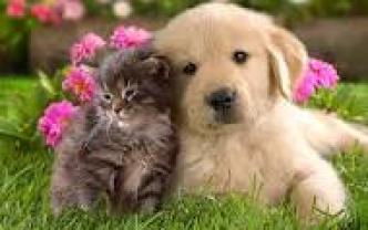 Demander une garde