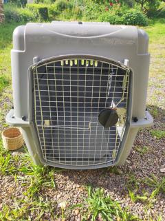 Location : cage transport animaux Location : cage transport animaux