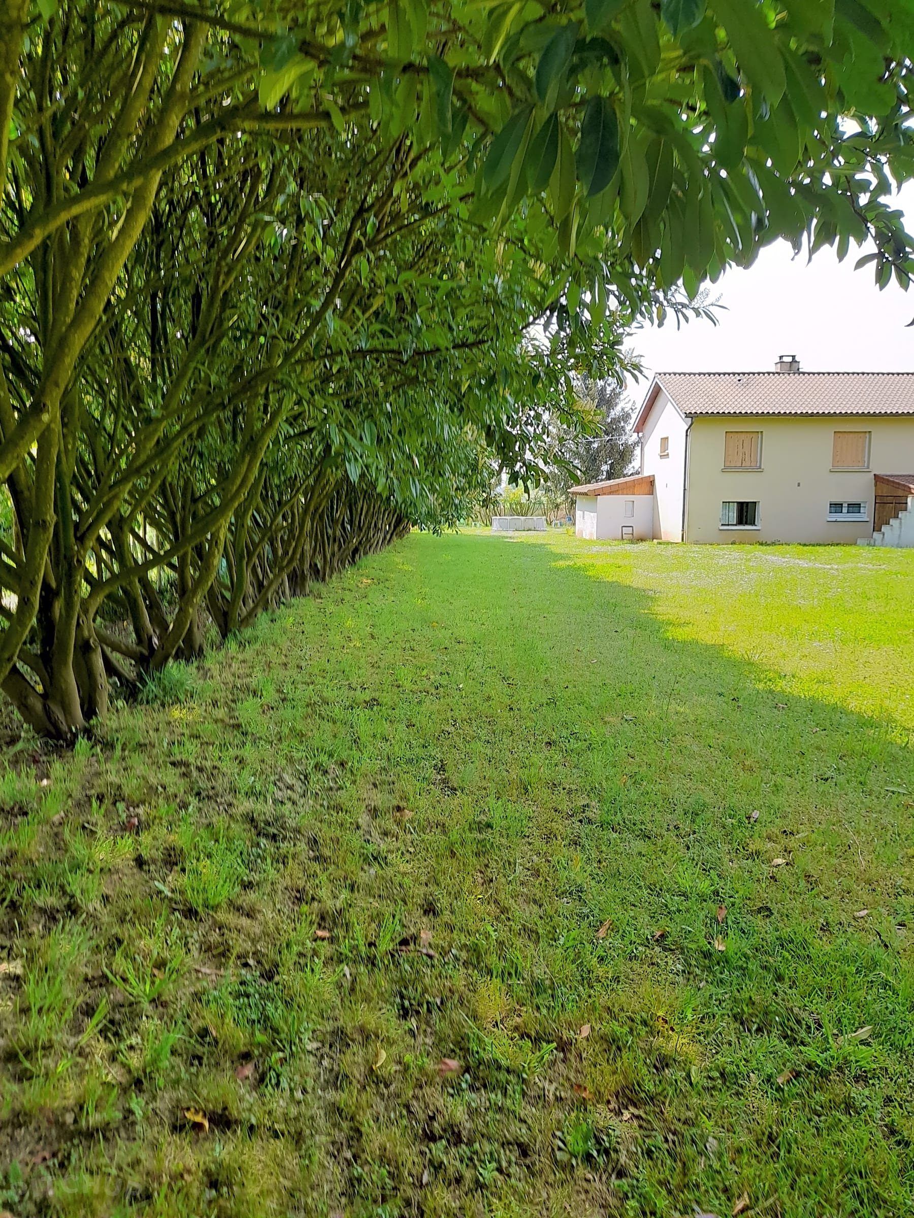 Location jardin 71 entre particuliers