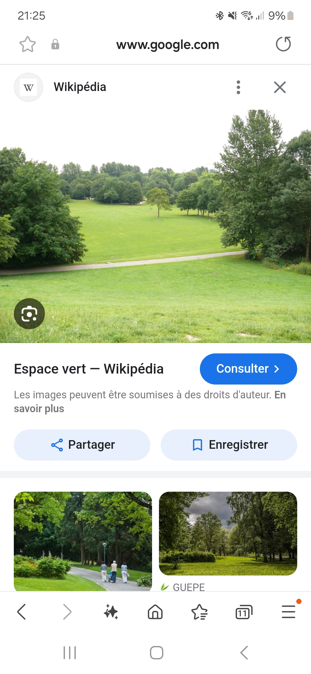 Service entretien espace vert 77 entre particuliers