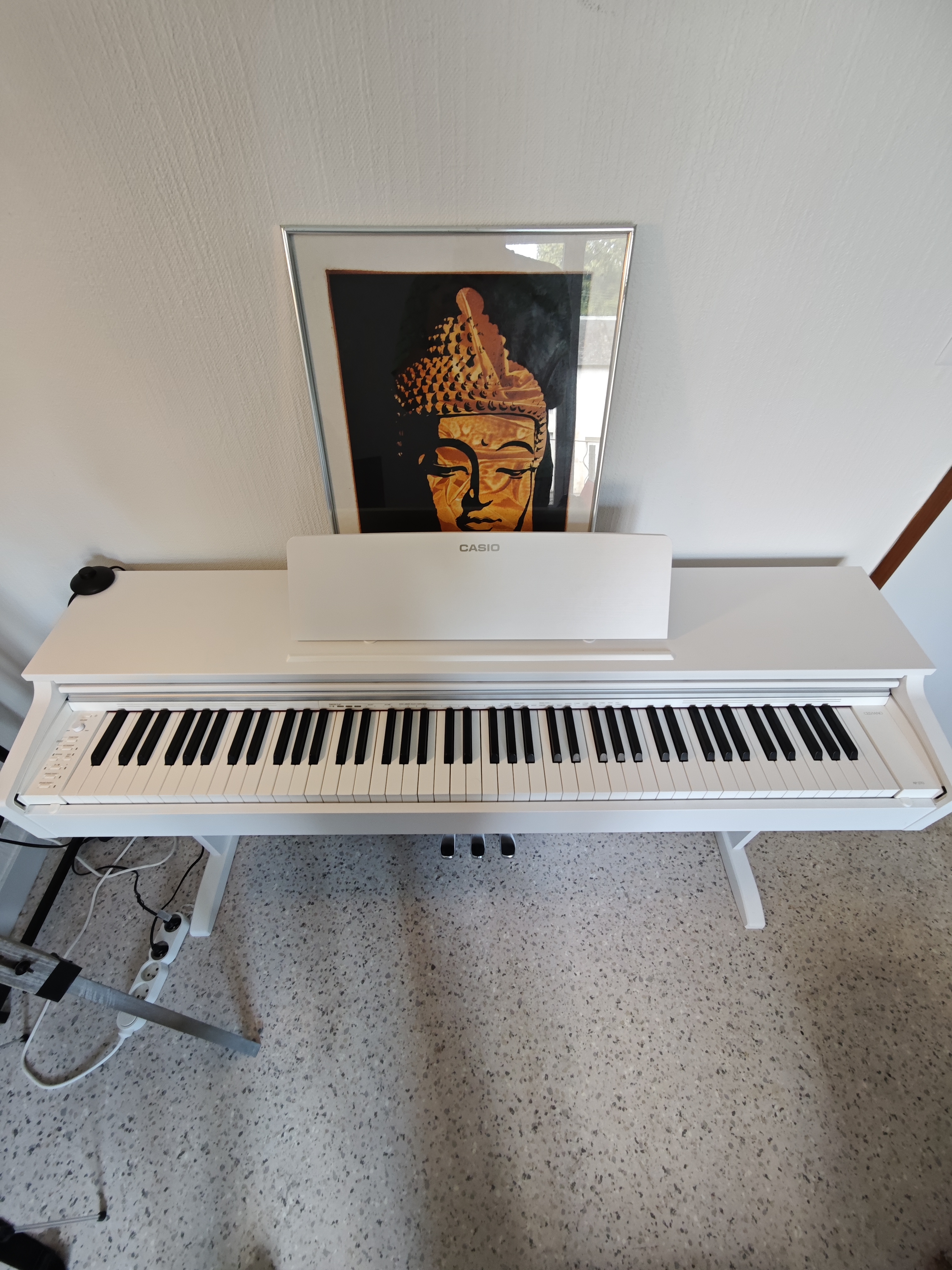 Location instrument musique 86 entre particuliers