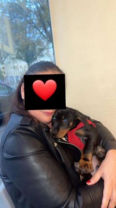 Service : garde animaux Service : garde animaux