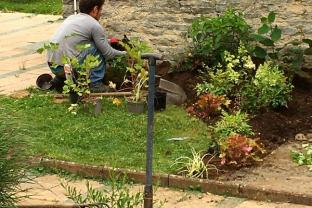 Service entretien jardin entre particuliers