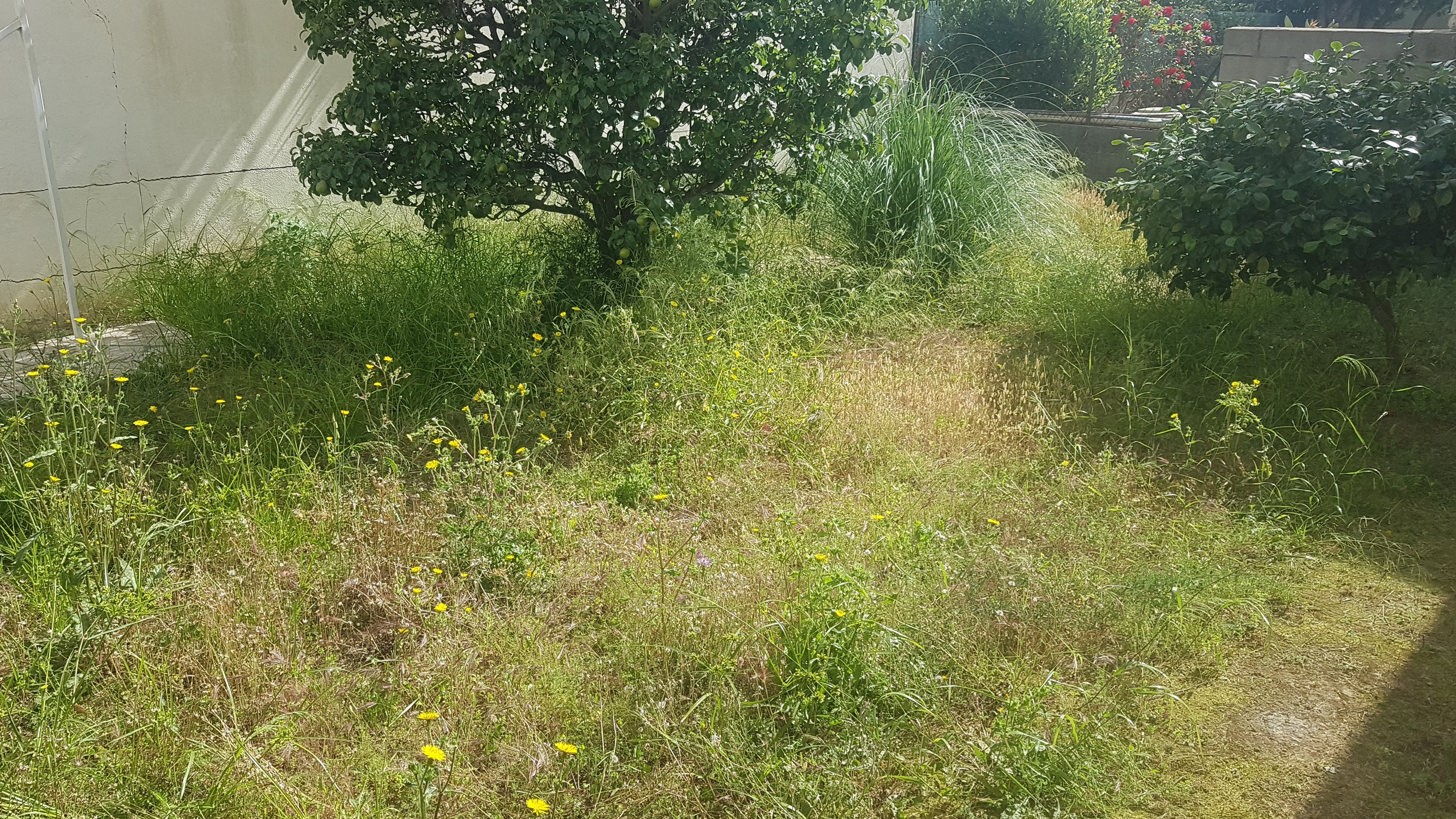 Service entretien jardin 66 entre particuliers
