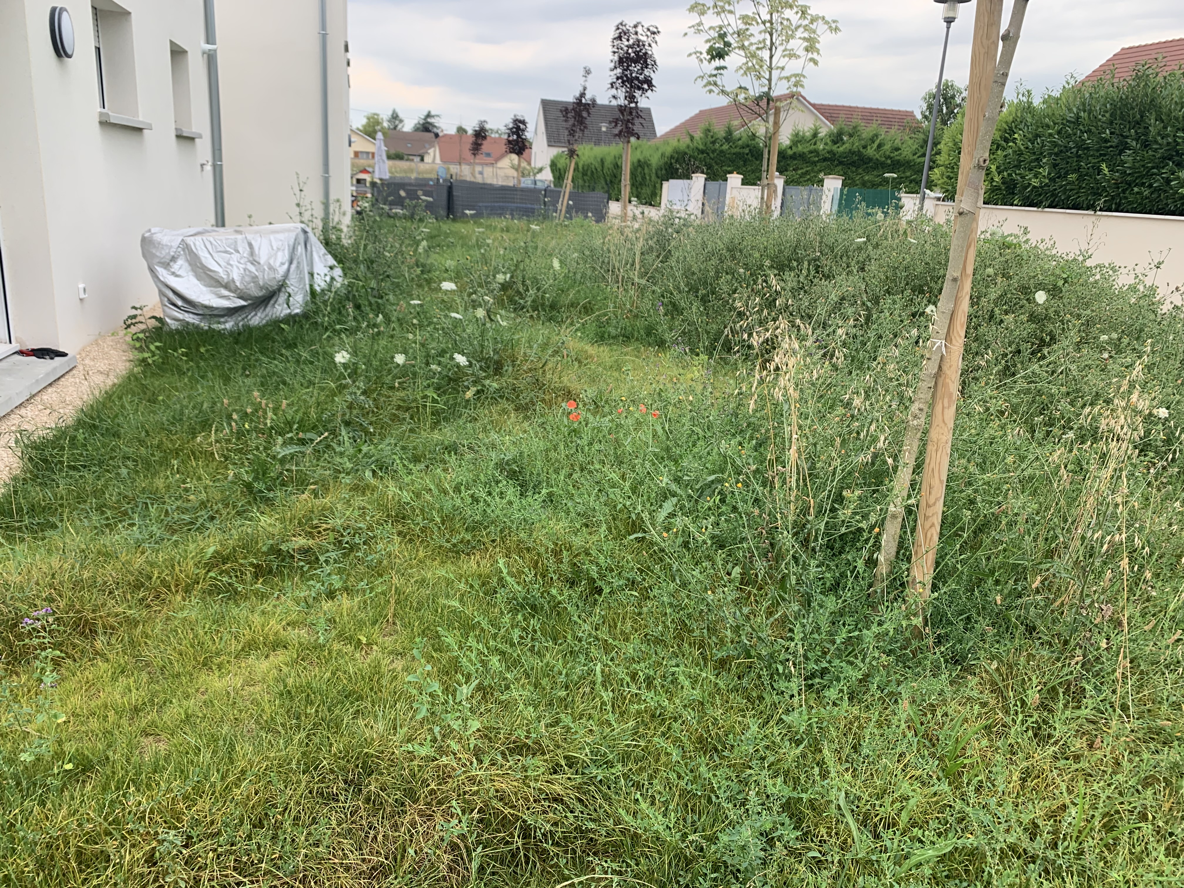 Service entretien jardin 21 entre particuliers