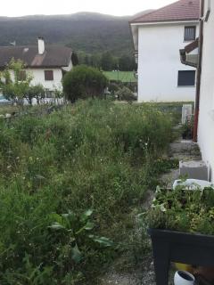 Service : debroussaillage Service : debroussaillage