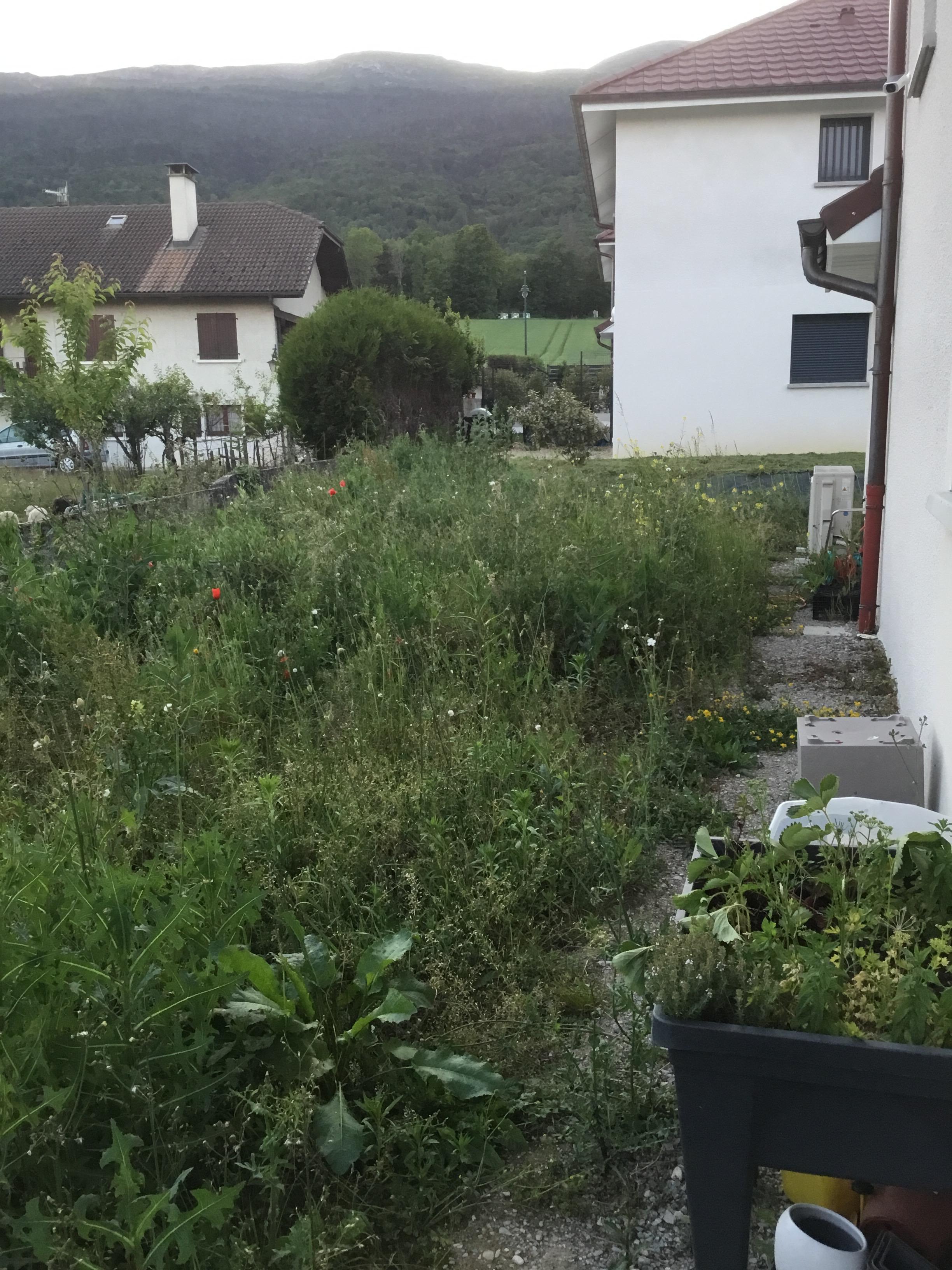 Service debroussaillage 01 entre particuliers