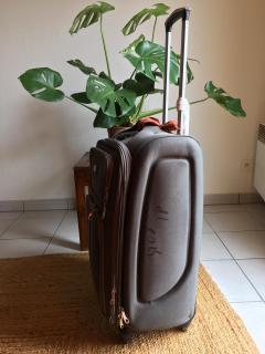 Louer la valise