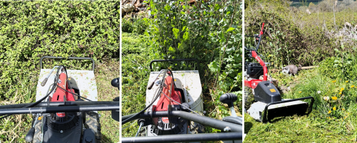 Location : debroussailleuse