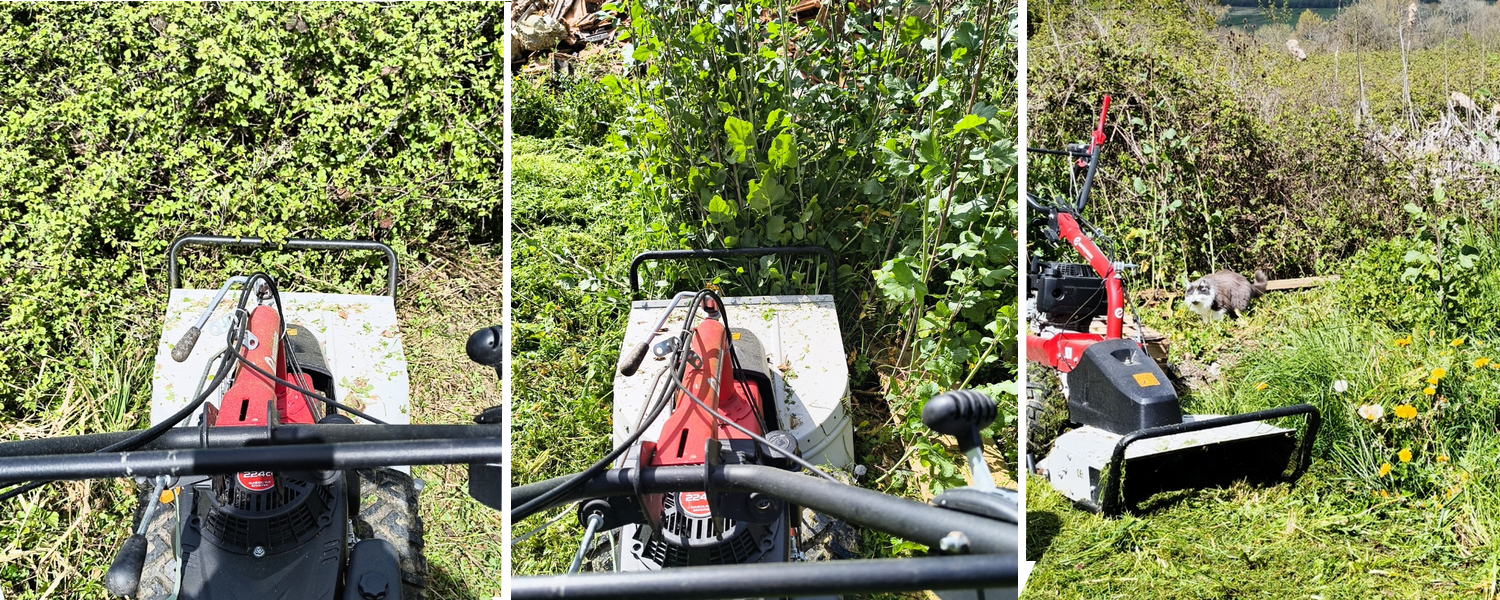 Location debroussailleuse 64 entre particuliers