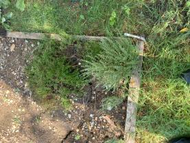 Service : jardinage Service : jardinage