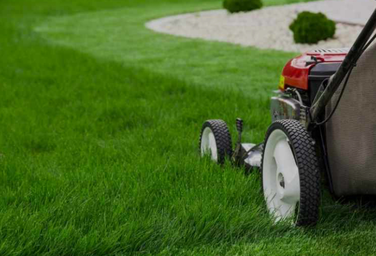 Service debroussaillage 43 entre particuliers