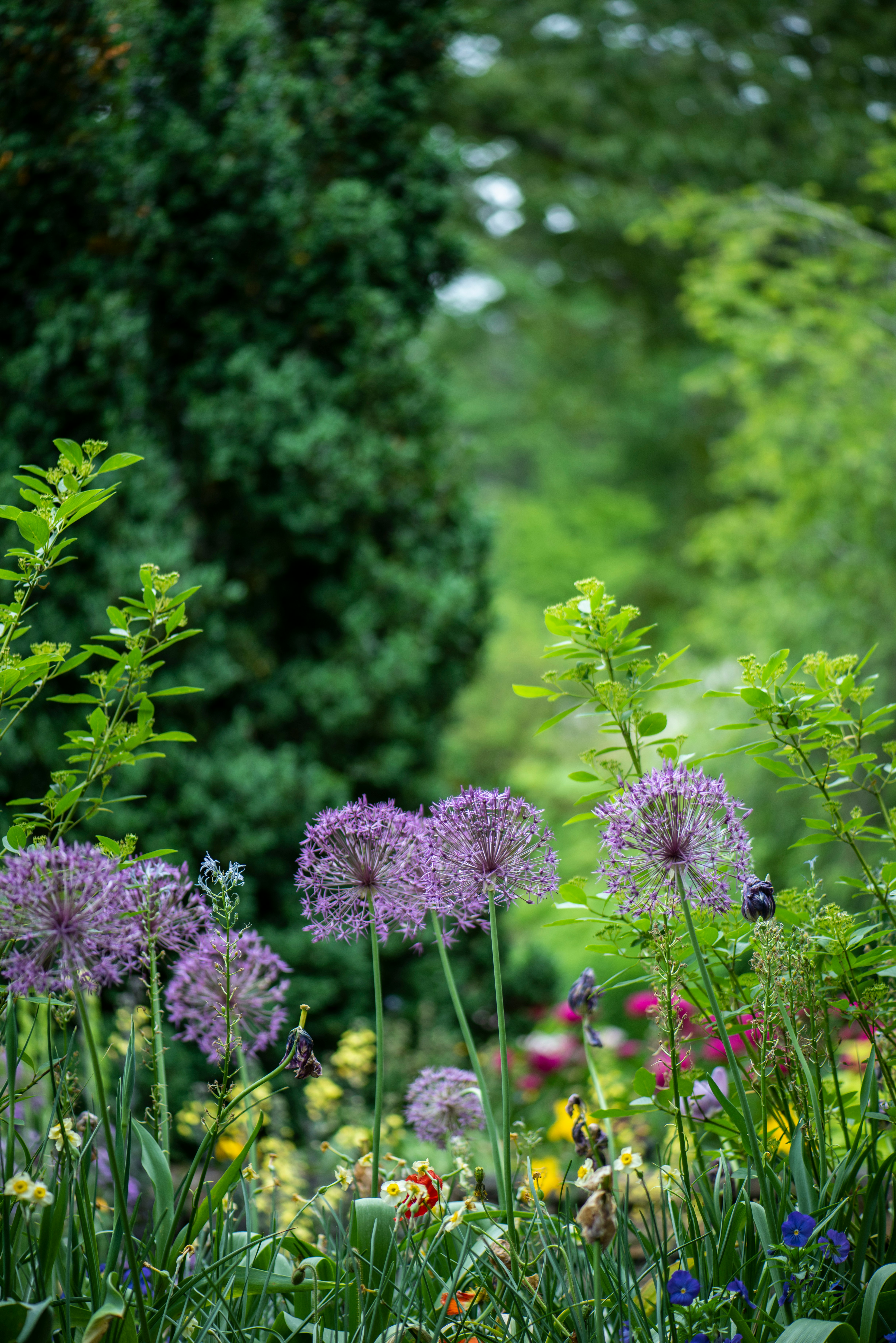 Service jardinage 35 entre particuliers