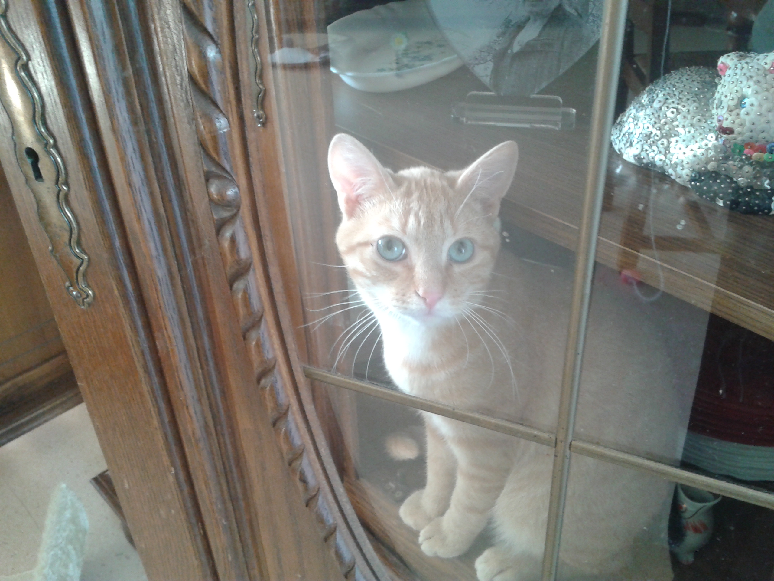 Service menage 62 entre particuliers