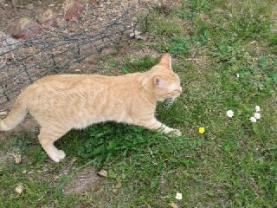 Service : repassage Service : repassage