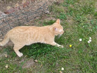 Service repassage 62 entre particuliers