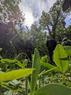 Location : detecteur Location : detecteur