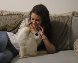 Demander ce catsitter