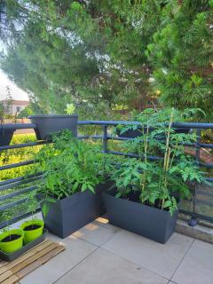 Louer mon jardin