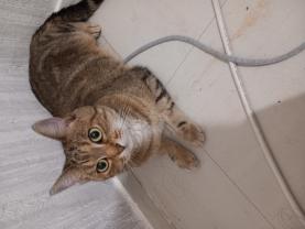 Service : chat Service : chat