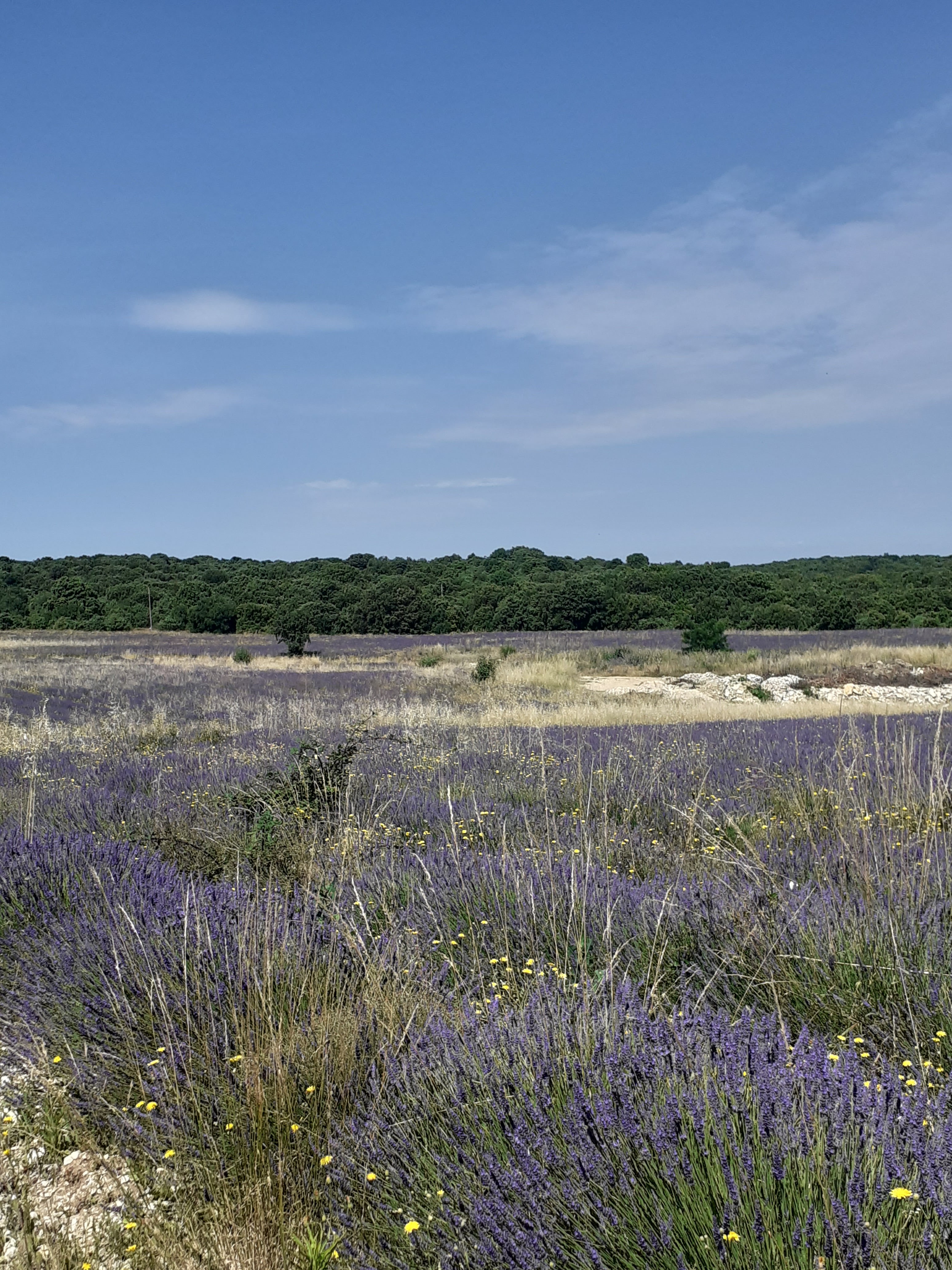 Service menage 07 entre particuliers