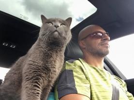 Service : garde animaux Service : garde animaux