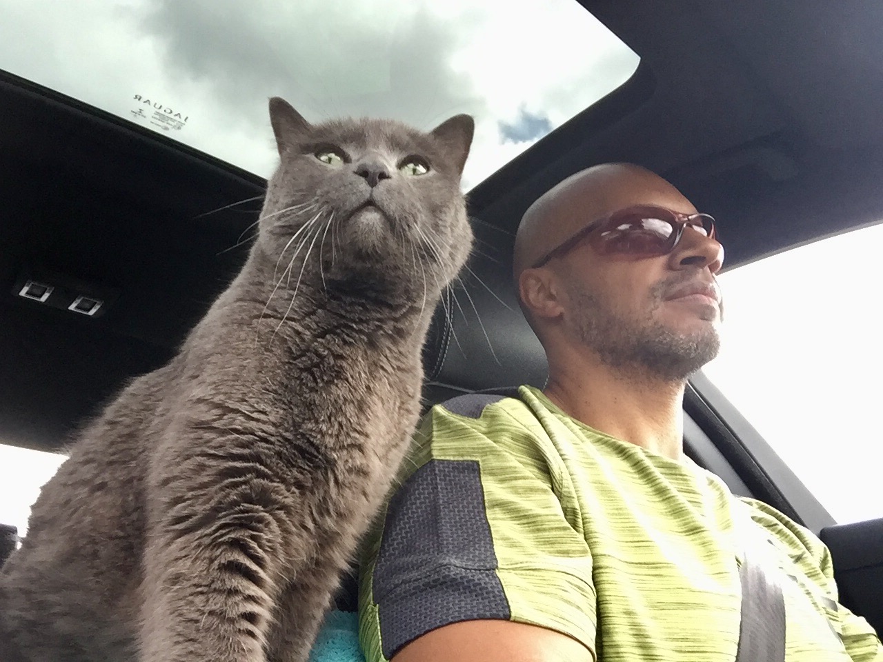 Service garde animaux 92 entre particuliers